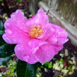 Meet your Posher, Kay